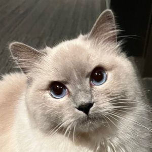 Meet your Posher, Eri